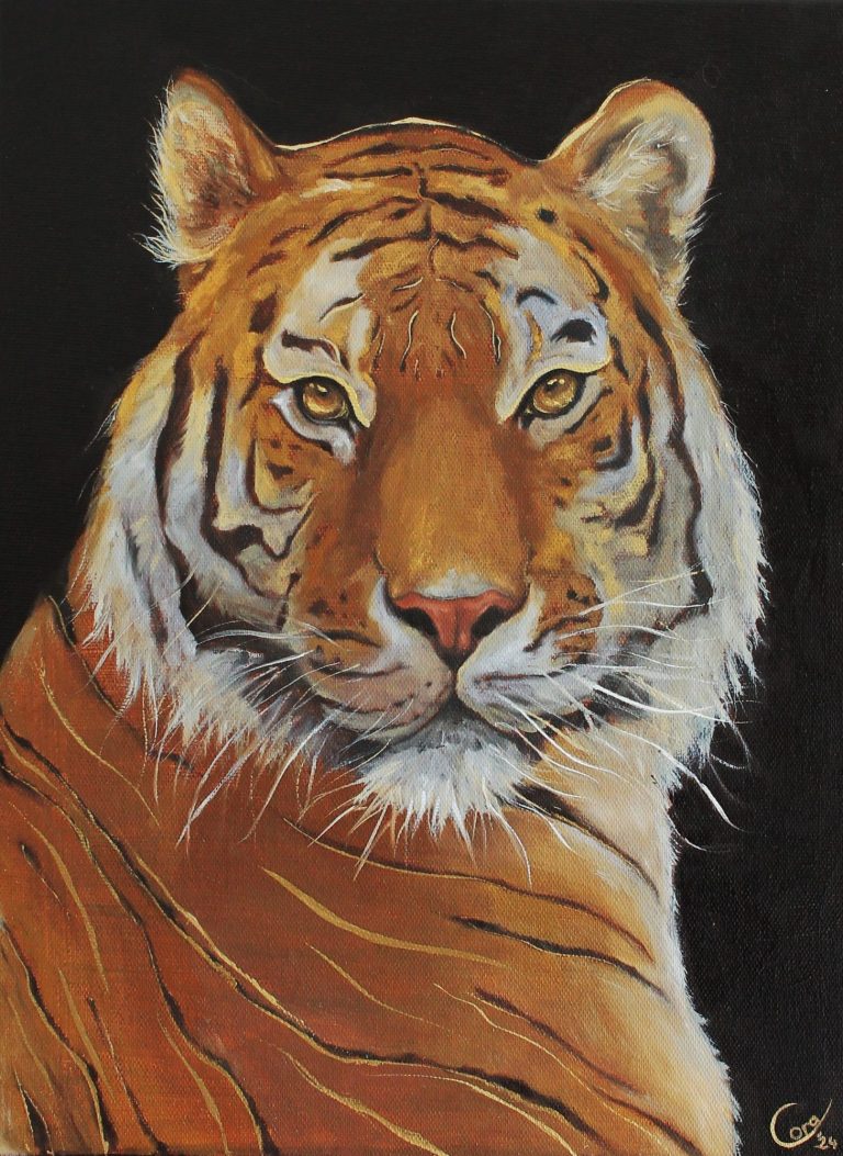 Goldtiger